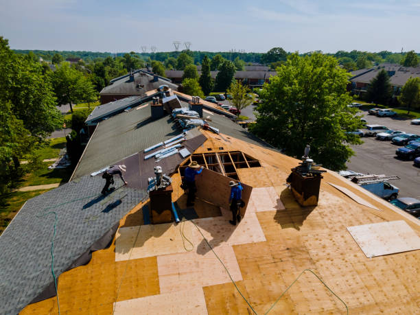 Best Storm Damage Roof Repair  in Jamesburg, NJ
